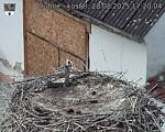 Capi_Dubne_20250828_172004.jpg