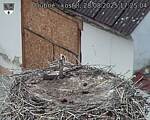 Capi_Dubne_20250828_172504.jpg
