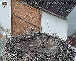 Capi_Dubne_20250828_174003.jpg