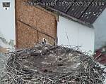 Capi_Dubne_20250828_175004.jpg