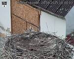 Capi_Dubne_20250828_180003.jpg
