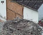 Capi_Dubne_20250828_180504.jpg