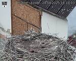 Capi_Dubne_20250828_181003.jpg