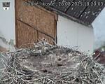 Capi_Dubne_20250828_182003.jpg