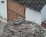Capi_Dubne_20250828_183003.jpg