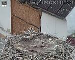Capi_Dubne_20250828_184003.jpg