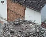 Capi_Dubne_20250828_191504.jpg