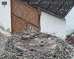 Capi_Dubne_20250828_192502.jpg
