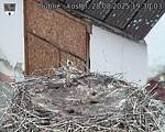 Capi_Dubne_20250828_193003.jpg