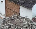 Capi_Dubne_20250828_194002.jpg