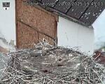 Capi_Dubne_20250828_194503.jpg
