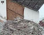 Capi_Dubne_20250828_195003.jpg