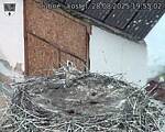 Capi_Dubne_20250828_195502.jpg