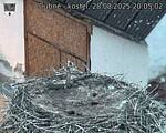 Capi_Dubne_20250828_200502.jpg