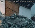 Capi_Dubne_20250828_201004.jpg