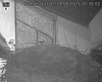 Capi_Dubne_20250828_203002.jpg
