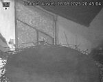 Capi_Dubne_20250828_204504.jpg
