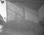 Capi_Dubne_20250828_225503.jpg