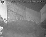 Capi_Dubne_20250829_044002.jpg