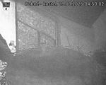 Capi_Dubne_20250829_045002.jpg