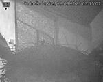 Capi_Dubne_20250829_051502.jpg
