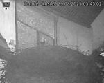 Capi_Dubne_20250829_054502.jpg