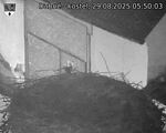 Capi_Dubne_20250829_055003.jpg