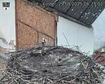 Capi_Dubne_20250829_062502.jpg