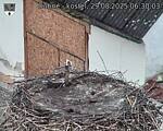 Capi_Dubne_20250829_063003.jpg