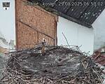 Capi_Dubne_20250829_065002.jpg