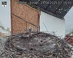 Capi_Dubne_20250829_071002.jpg