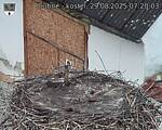 Capi_Dubne_20250829_072003.jpg