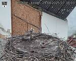 Capi_Dubne_20250829_073003.jpg