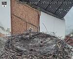 Capi_Dubne_20250829_080504.jpg
