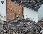 Capi_Dubne_20250829_083002.jpg