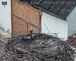 Capi_Dubne_20250829_085004.jpg