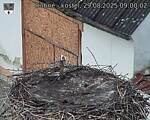 Capi_Dubne_20250829_090002.jpg