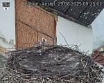 Capi_Dubne_20250829_092502.jpg