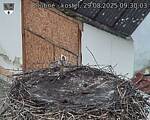 Capi_Dubne_20250829_093003.jpg