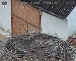 Capi_Dubne_20250829_094503.jpg