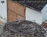 Capi_Dubne_20250829_095503.jpg