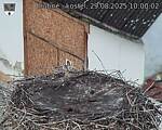 Capi_Dubne_20250829_100002.jpg