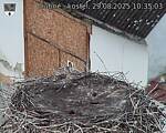 Capi_Dubne_20250829_103503.jpg