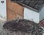 Capi_Dubne_20250829_105504.jpg
