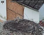 Capi_Dubne_20250829_110004.jpg