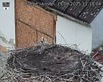 Capi_Dubne_20250829_111004.jpg