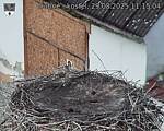 Capi_Dubne_20250829_111504.jpg