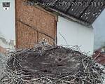 Capi_Dubne_20250829_113003.jpg