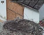 Capi_Dubne_20250829_113503.jpg