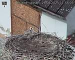 Capi_Dubne_20250829_115503.jpg